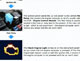 How a car starts, step by step
