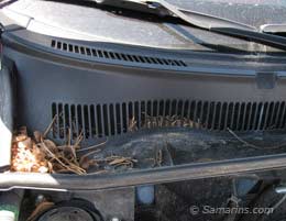 Leaves on the cowl panel