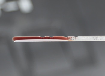 Transmission fluid on the dipstick
