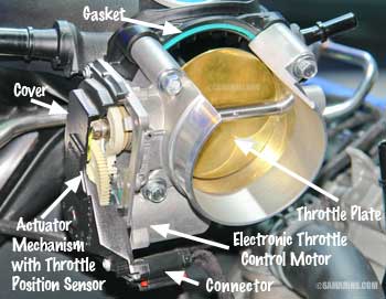 Electronic Throttle Body cutaway display