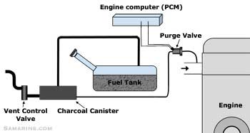 Evaporative Emissions Purge Solenoid Valve Dorman - OE Solutions Vapor  Canister Purge Valve Canisters Valves dormanoe oesolutions