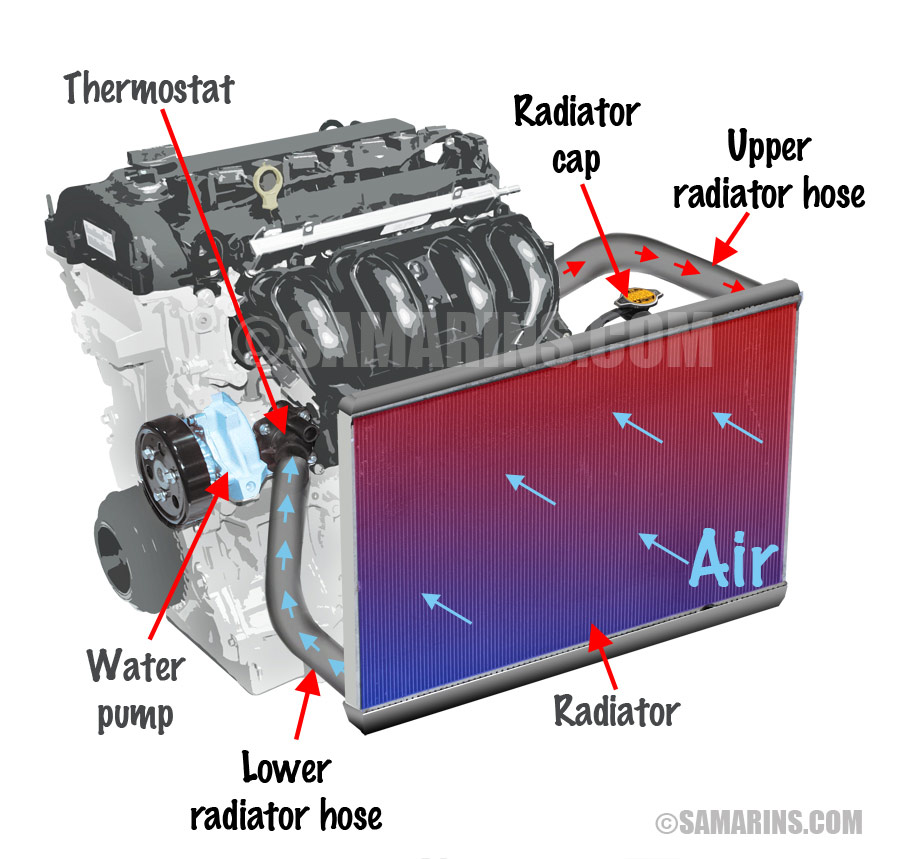 2010 toyota corolla thermostat location