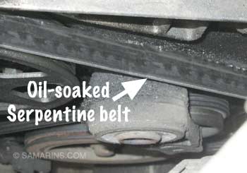 Oil-soaked serpentine belt