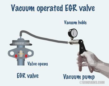 EGR Valve