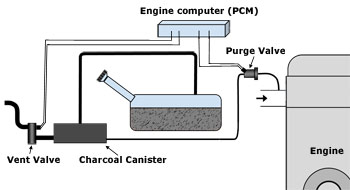 EVAP system diagram