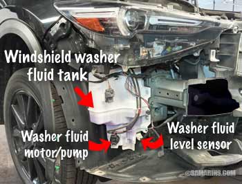Windshield washer fluid tank